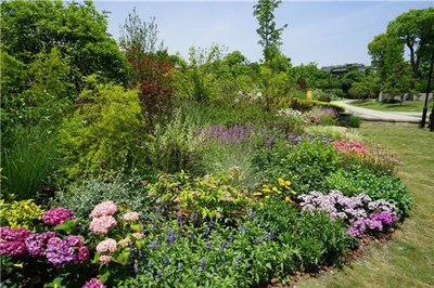 工業(yè)園園林綠化工程常用喬木推薦