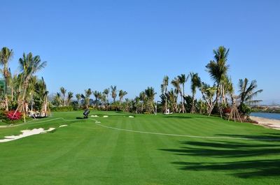 山東順和園林綠化工程簽約建文軟件，攜手推動園林工程信息化進(jìn)程